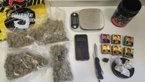 Panetti di hashish nel frigo e marijuana in cantina: arrestato 22enne pordenonese per spaccio