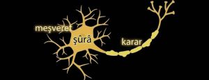 Sinir hücresi penceresinden meşveret-şûrâ mesleği-3: Akson & şûrâ kararı