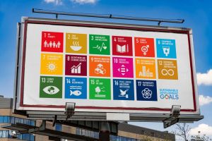 The Sustainable Development Goals: An Assessment of Ambition