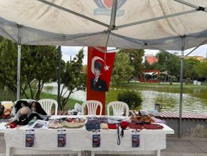 EPİLEPSİ VE FARKINDALIK