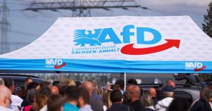 Γιατί ανεβαίνει το AfD