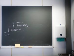 Frarøver vi unges mulighet til å bidra i samfunnet?
