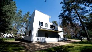 AfD opent aanval op Bauhaus, net als eerder de nazi's