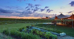 At these Niagara wineries, world-class wines meet top-notch dining, panoramic views — and famous butter tarts