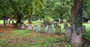 Manhunt under way for 'Grindr gang' who used dating app to attack man in graveyard