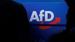 Aufstieg der AfD: Auf den Ossis rumzuhacken, ist zu einfach!