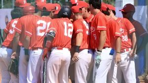 Baseball serie A Silver: domani sfida impegnativa per i pesaresi contro la terza forza del campionato. Rovigo col vento in poppa, biancorossi a viso aperto
