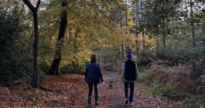 Norfolk named among UK’s top spots for an autumnal trip