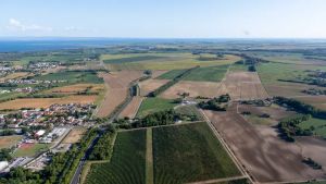 Agricoltura, calano le aziende nel Monfalconese: ma il fatturato vale 40 milioni