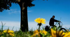 Letter: Buffalo abounds in scenic bike rides