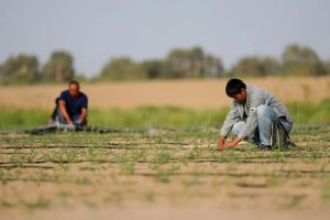 China põe o tema Xinjiang entre algodões