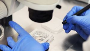 Scambio embrioni, legale della coppia che ha denunciato: cartella clinica con inadempienze