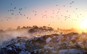 Britain’s security establishment has discovered the ecological crisis