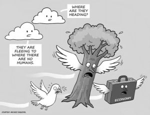 Cartoon