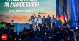 Wie Erschöpfung zu politischer Zerstörung durch die AfD führt