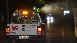 Dengue, cinque casi nella Marca: tre in una sola settimana