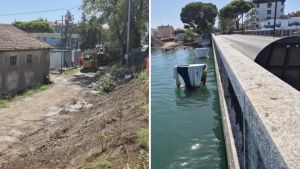 Ciclabile Grado-Aquileia, gli alberi vicino alla rampa del nuovo ponte verso il salvataggio