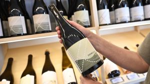 Vem betalar alkoholens kostnader?