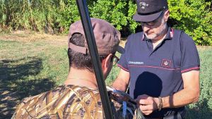 Sveglia con gli spari dei cacciatori. Raffica di telefonate ai carabinieri