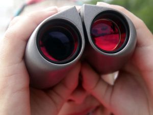 JOCELYNE LLOYD: An expectation of privacy