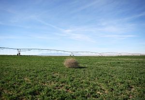 Steven Roberts: Why farmers are fuming