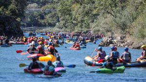 Dai 3 agli 85 anni, tutti in acqua sul’Isonzo: la Regata eguaglia il record di iscritti