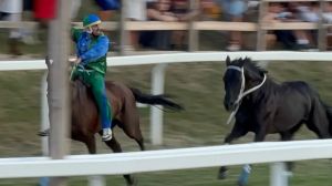 Saletto fa la storia e vince per la prima volta il Palio dei 10 Comuni