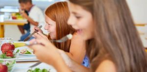 Comedores escolares saludables y sostenibles: ¿qué hace falta para que se pueda cumplir la ley?