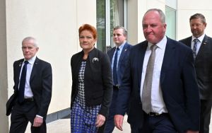 One Nation is the symptom. Labor must treat the cause