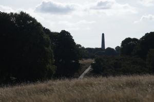 ‘If you wake up after a night in Phoenix Park, you think: What is the point?’