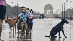 Delhi drenched: Heavy rain leaves roads waterlogged, traffic hit | IN PICS