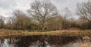 Norfolk walking trail named among the UK's most beautiful routes
