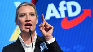 Por si los inversores no dudaban ya de Alemania, AfD les da más motivos