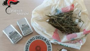 Trovata droga in casa, arrestato: sequestrate marijuana, hashish e otto piante