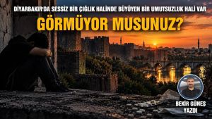 Diyarbakır'da sessiz bir çığlık halinde büyüyen bir umutsuzluk hali var görmüyor musunuz?