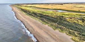 Saltwater flooding could radically change which crops are worth growing