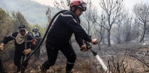 Incendies en Algérie : l’exceptionnelle résilience du peuple comme ressource politique du pouvoir