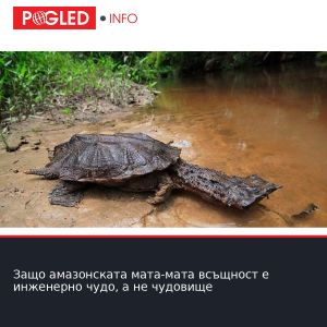 Защо амазонската мата-мата всъщност е инженерно чудо, а не чудовище
