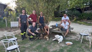 Mezzana Bigli, due cani salvati lungo il Po