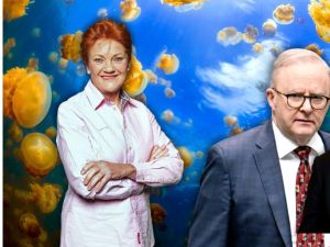‘Stingless jellyfish’: One Nation exposes leaders with no spine