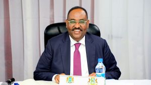 Puntland Is Not A Platform – OpEd