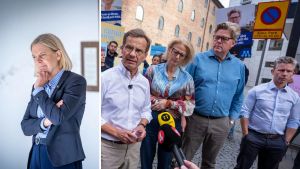 Det är inte bara V som hotar Sveriges säkerhet