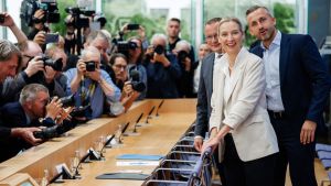 Vediamo che ne è dell’AfD quando fa un bagno nella realtà del governo