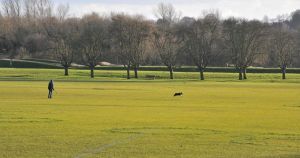 Norfolk council set to press ahead with £8.3m in contracts for historic park revamp