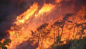 Fast-moving wildfire threatens homes in Turkey's Antalya province, authorities warn