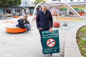 Bytunet for rotter og måker