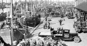 Unpublished photo captures vanished way of life in Norfolk town