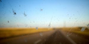 Why should we care if there aren’t any squished insects on our windscreens?