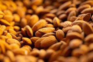 Mandorle, campagna generosa (+30%) ma resta l’allarme parrocchetti