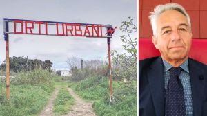 Livorno, Orti urbani: parla Frangerini sulle proteste – «Ma quale tutela dell’ambiente? Solo interessi politici e personali»
